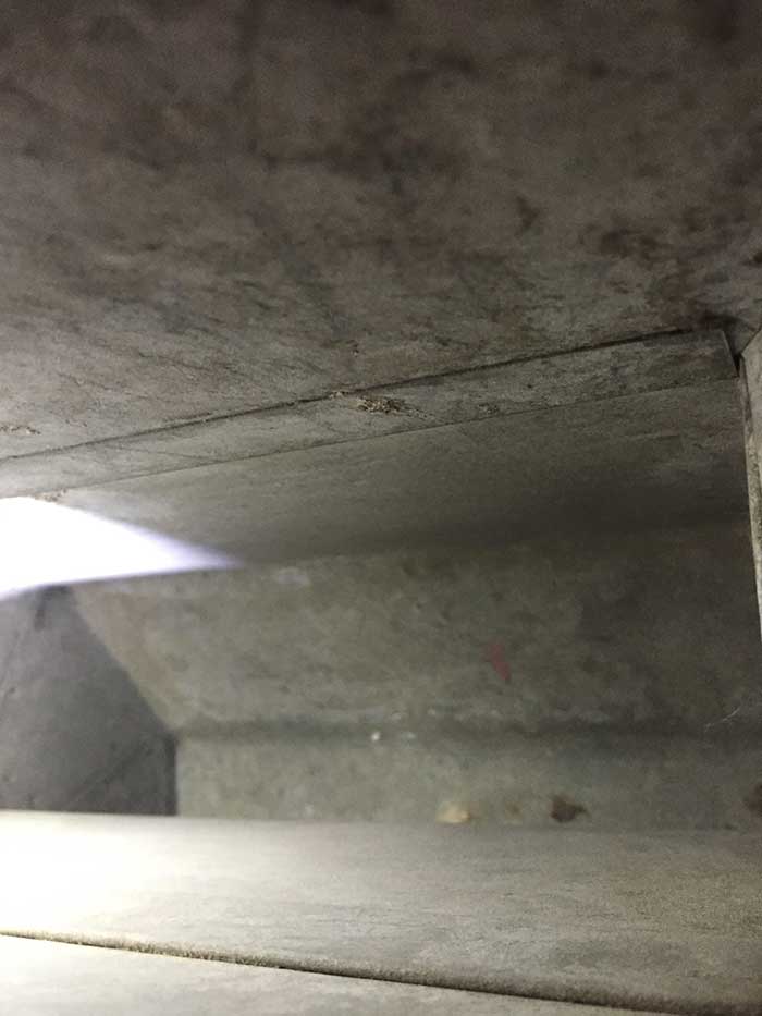 after-img-8 after-img-8